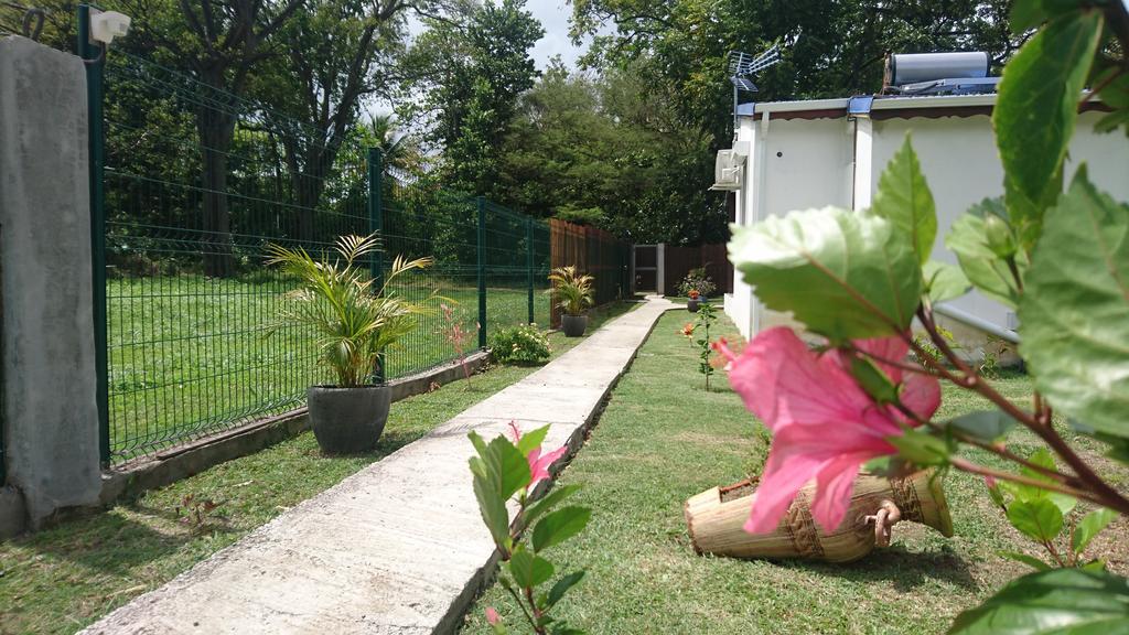 Reve Creole Villa Deshaies Dış mekan fotoğraf