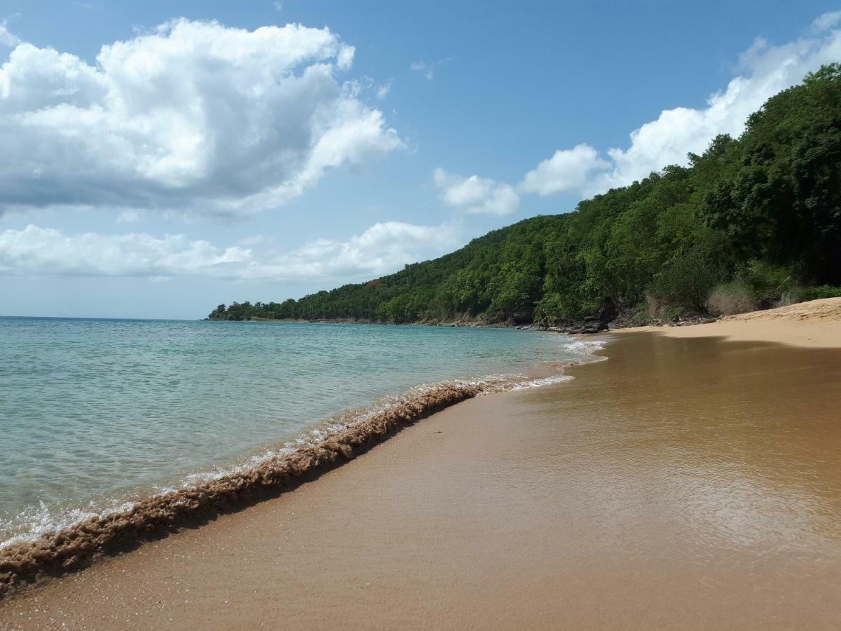 Reve Creole Villa Deshaies Dış mekan fotoğraf