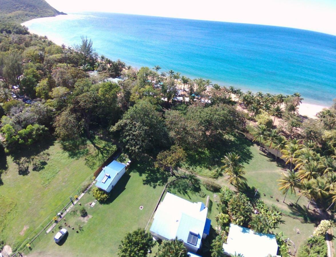 Reve Creole Villa Deshaies Dış mekan fotoğraf